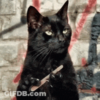 A Black Cat Is Holding A Nail File In Its Paws In Front Of A Brick Wall GIF
