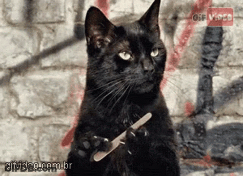 A Black Cat Is Holding A Nail File In Its Paws In Front Of A Brick Wall GIF