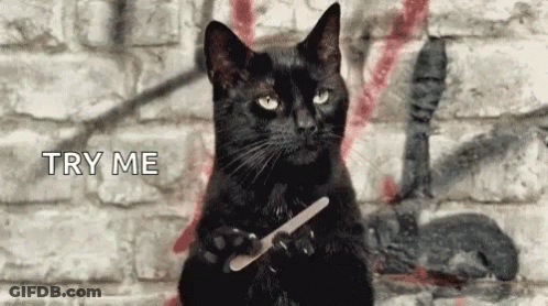A Black Cat Is Holding A Nail File In Its Paws While Sitting In Front Of A Brick Wall . GIF