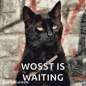 A Black Cat Is Holding A Nail Polisher In Its Paws . GIF