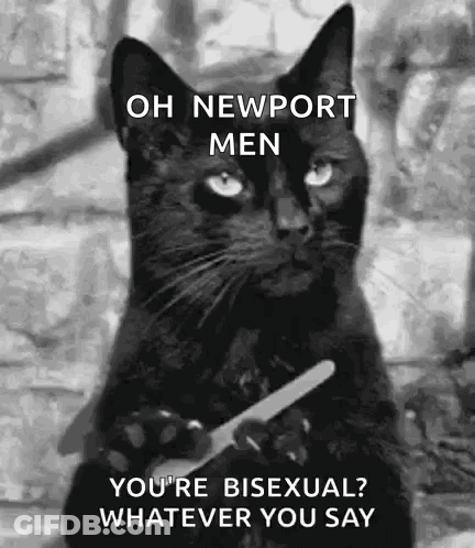 A Black Cat Is Holding A Pair Of Scissors And Saying Oh Newport Men You 'Re Bisexual Whatever You Say GIF