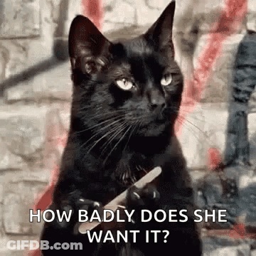 A Black Cat Is Holding A Pair Of Scissors In Its Paws . GIF