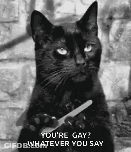 A Black Cat Is Holding A Pair Of Scissors In Its Paws And Asking If It Is Gay . GIF