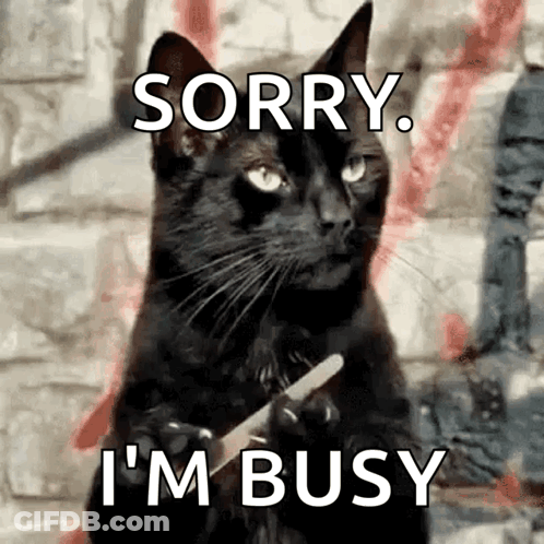 A Black Cat Is Holding A Piece Of Paper And Says Sorry I 'M Busy . GIF