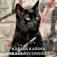 Black Cat Holding Paper And Giving Middle Finger GIF