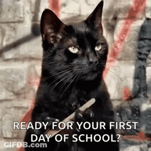 A Black Cat Is Holding An Ice Cream Cone In Its Paws And Says Ready For Your First Day Of School ? GIF