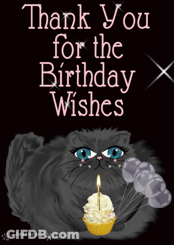 A Black Cat Is Holding Balloons And A Cupcake With A Candle On It And Says Thank You For The Birthday Wishes GIF