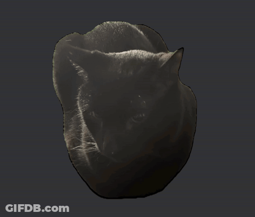 A Black Cat Is Laying Down On A Dark Grey Background GIF