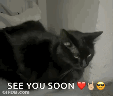 A Black Cat Is Laying Next To A Sign That Says See You Soon . GIF