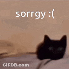 A Black Cat Is Laying On A Bed With The Word Sorry Written Above It GIF