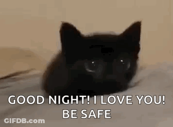 A Black Cat Is Laying On A Bed With The Words `` Good Night , I Love You , Be Safe '' . GIF