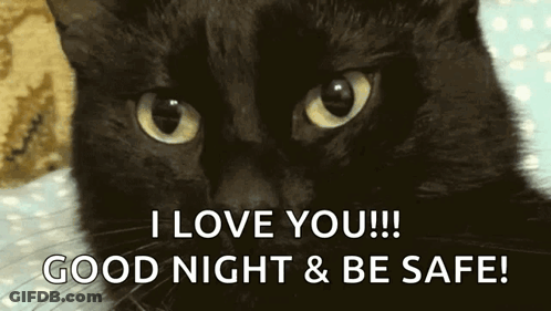 A Black Cat Is Laying On A Bed With The Words I Love You Good Night & Be Safe GIF