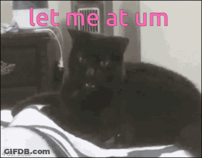 A Black Cat Is Laying On A Bed With The Words Let Me At Um GIF