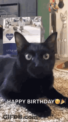 A Black Cat Is Laying On A Carpet In Front Of A Box That Says ' Happy Birthday ' On It . GIF