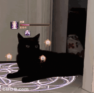 A Black Cat Is Laying On A Circle With Chinese Characters On The Bottom GIF