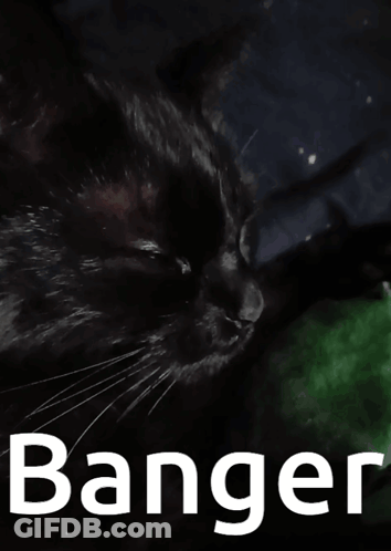 A Black Cat Is Laying On A Green Blanket With The Word Banger Above It GIF