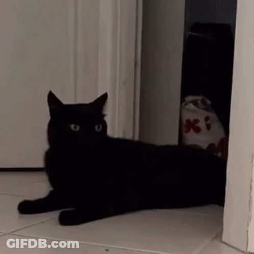 A Black Cat Is Laying On A Tiled Floor In Front Of A White Door GIF