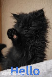 A Black Cat Is Laying On A White Towel With The Word Hello Written In Blue GIF