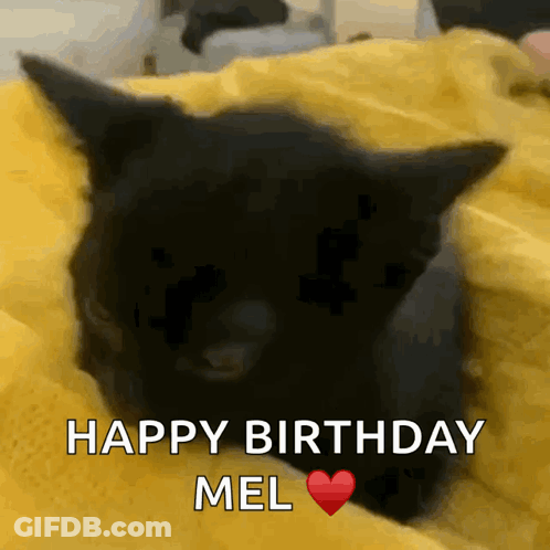 A Black Cat Is Laying On A Yellow Blanket With The Words Happy Birthday Mel Written Below It GIF