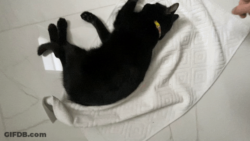 A Black Cat Is Laying On Its Back On A Towel GIF