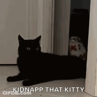 A Black Cat Is Laying On The Floor Next To A Door And A Bag . GIF