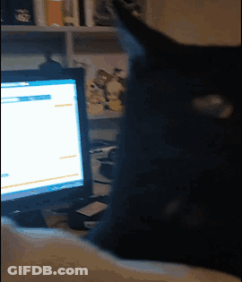 A Black Cat Is Looking At A Computer Screen With A Blue Screen GIF