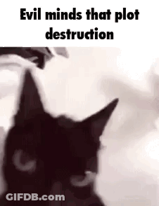 A Black Cat Is Looking At The Camera With The Words `` Evil Minds That Plot Destruction '' Above It . GIF