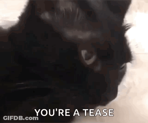 A Black Cat Is Looking At The Camera With The Words `` You 'Re A Tease '' Written On The Bottom . GIF