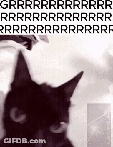 A Black Cat Is On A Poster That Says Grrr Rr Rr Rr Rr Rr Rr GIF