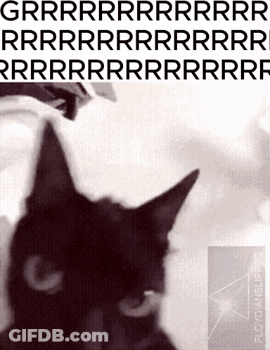 A Black Cat Is On The Cover Of A Book Called Floyd4n GIF