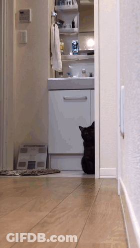 A Black Cat Is Peeking Out From Behind A Cabinet In A Bathroom GIF