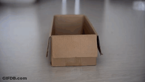 A Black Cat Is Playing In A Cardboard Box . GIF