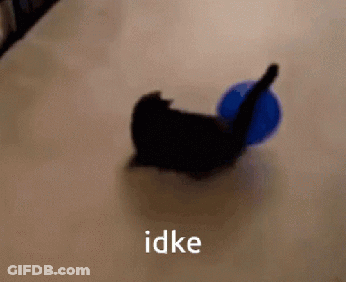 A Black Cat Is Playing With A Blue Ball And The Word Idke Is Visible GIF