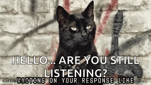 A Black Cat Is Sitting In Front Of A Brick Wall And Says Hello Are You Still Listening ? Waiting On Your Response Like GIF