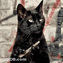 A Black Cat Is Sitting In Front Of A Brick Wall Holding A Nail File . GIF