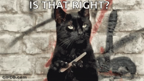 A Black Cat Is Sitting In Front Of A Brick Wall Holding A Nail File In Its Paws . GIF