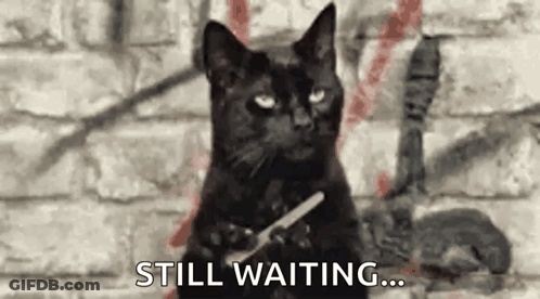 A Black Cat Is Sitting In Front Of A Brick Wall Holding A Nail File . GIF