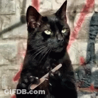 A Black Cat Is Sitting In Front Of A Brick Wall Holding A Nail File . GIF