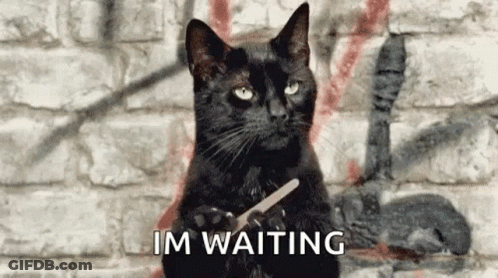 A Black Cat Is Sitting In Front Of A Brick Wall Holding A Pair Of Scissors In Its Paws . GIF