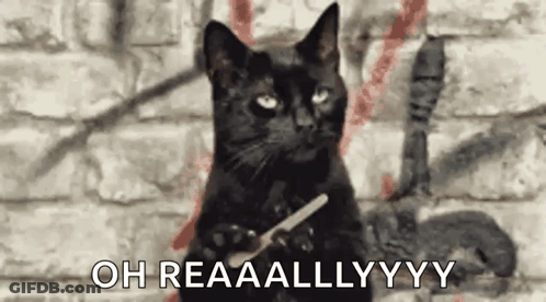 A Black Cat Is Sitting In Front Of A Brick Wall Holding A Toothbrush . GIF