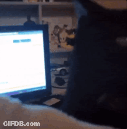 A Black Cat Is Sitting In Front Of A Computer Screen GIF