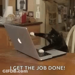 A Black Cat Is Sitting In Front Of A Laptop Computer . GIF