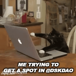 A Black Cat Is Sitting In Front Of A Laptop With The Caption " Me Trying To Get A Spot In @Dskdao " GIF