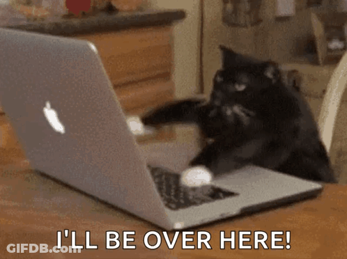 A Black Cat Is Sitting In Front Of An Apple Laptop Computer . GIF