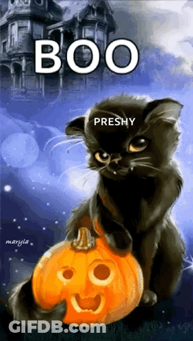 A Black Cat Is Sitting Next To A Pumpkin With A Face On It GIF