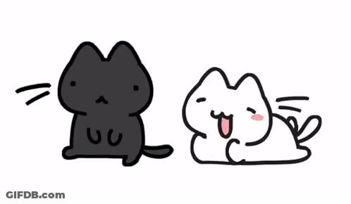 A Black Cat Is Sitting Next To A White Cat GIF