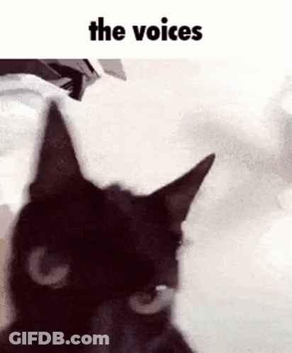 A Black Cat Is Sitting On A Bed With The Words `` The Voices '' Written Above It . GIF