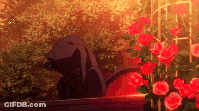 A Black Cat Is Sitting On A Brick Wall Next To A Bush Of Red Roses . GIF