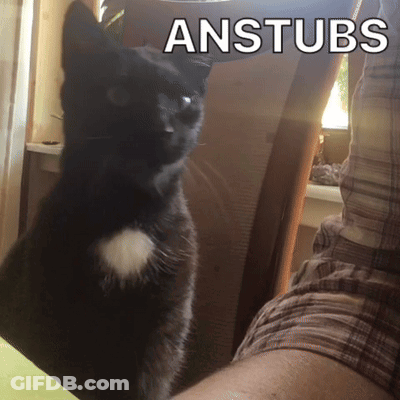 A Black Cat Is Sitting On A Person 'S Lap With The Word Anstubs Above It GIF