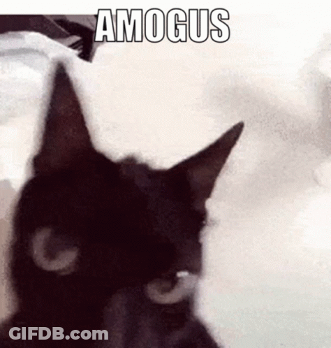 A Black Cat Is Sitting On A White Blanket With The Word Amogus Written On It . GIF